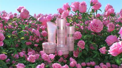 玫瑰之韻 三維場(chǎng)景中的創(chuàng)新化妝品與衛(wèi)生用品設(shè)計(jì)